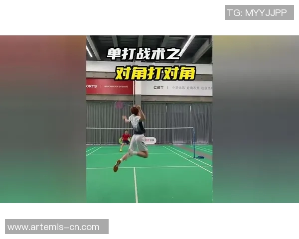 南京羽毛球队控制打法深度分析与战术探讨